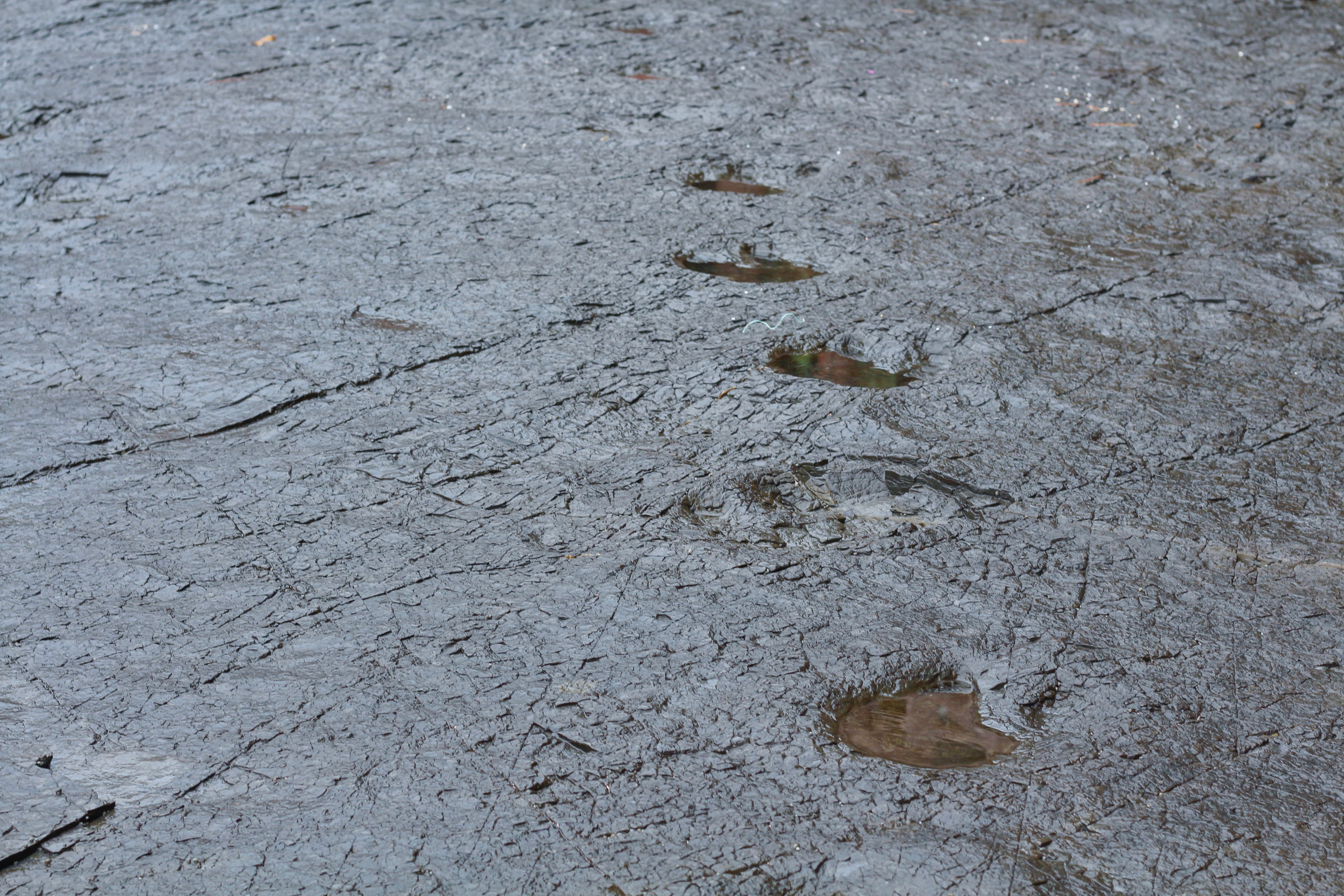 상족암군립공원